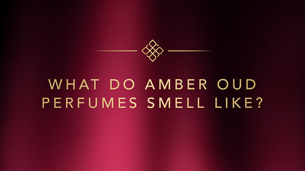 amber oud perfumes