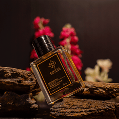 Bombastic - Impression of Spicebomb