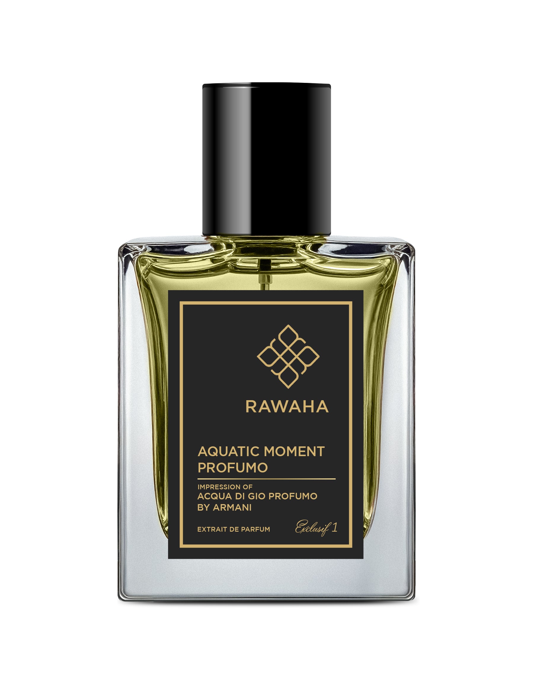 Aquatic Moment Profumo Men's Top Perfume - Impression of Acqua di Gio Profumo