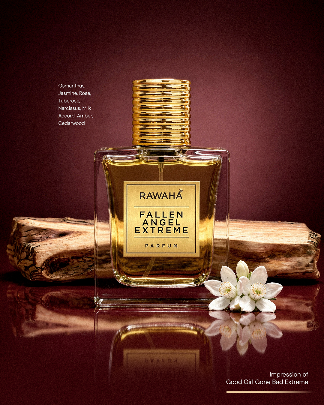 Fallen Angel Extreme - Impression of Good Girl Gone Bad Extreme