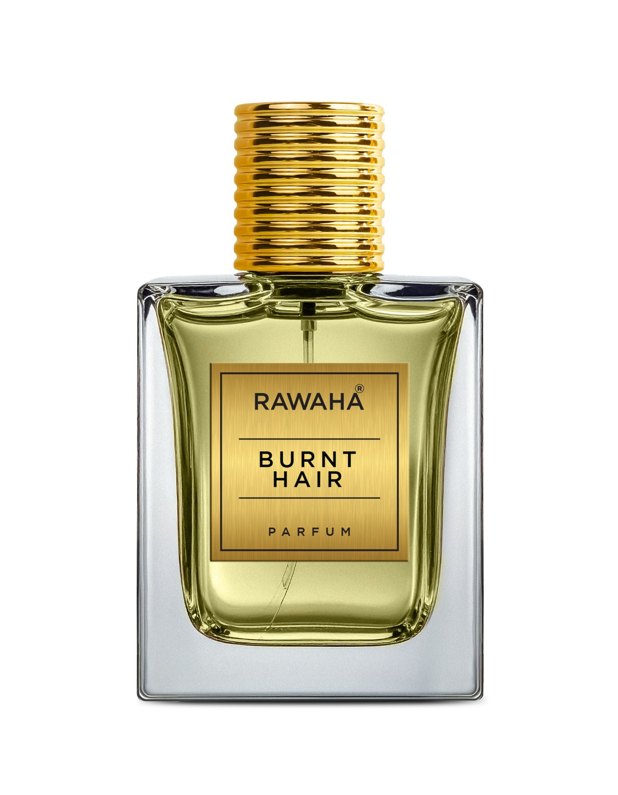 Burnt Hair by Elon Musk